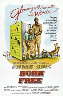 دانلود فیلم Born Free 1966323518-1883542185
