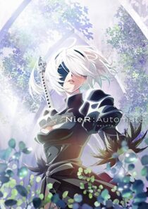 دانلود انیمه Nier: Automata Ver1.1a323874-1167821973