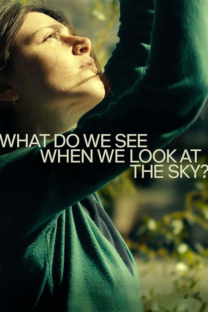 دانلود فیلم What Do We See When We Look at the Sky? 2021