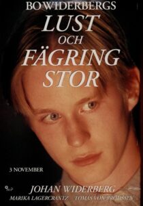 دانلود فیلم Lust och fägring stor 1995353136-1672890802