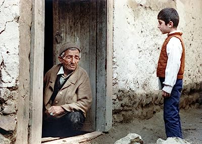 Babek Ahmed Poor