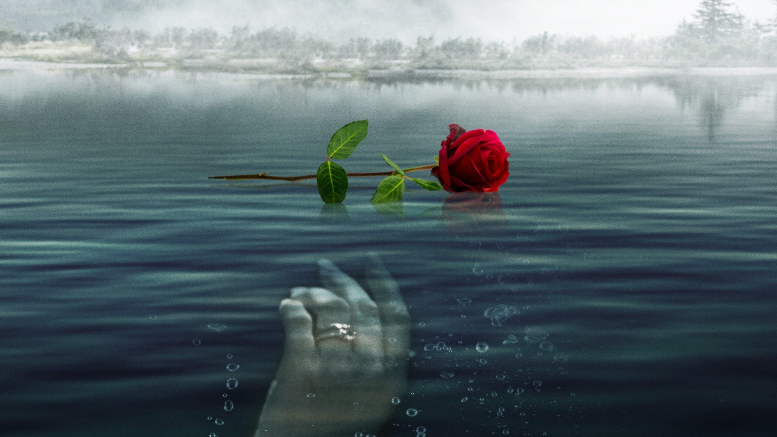 دانلود فیلم A Rose for Her Grave: The Randy Roth Story 2023