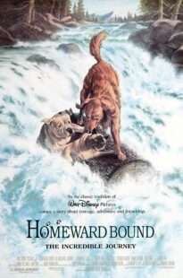 دانلود فیلم Homeward Bound: The Incredible Journey 1993371118-1473877993