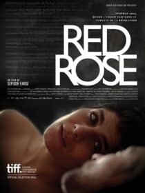 دانلود فیلم Red Rose 2014373098-1406479070