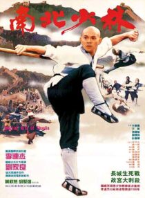 دانلود فیلم Martial Arts of Shaolin 1986376976-1528163037