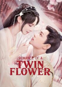 دانلود سریال Romance of a Twin Flower379211-107882619