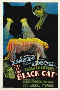 دانلود فیلم The Black Cat 1934378235-371727124