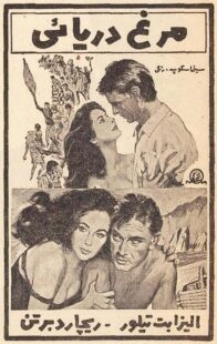 دانلود فیلم The Sandpiper 1965381611-1589995134