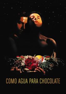 دانلود فیلم Like Water for Chocolate 1992387861-607698316
