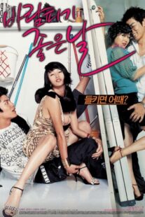 دانلود فیلم کره‌ای A Good Day to Have an Affair 2007384531-1899199989
