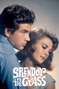 دانلود فیلم Splendor in the Grass 1961382554-1609277181