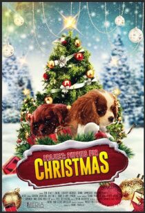 دانلود فیلم Project: Puppies for Christmas 2019390454-288607872