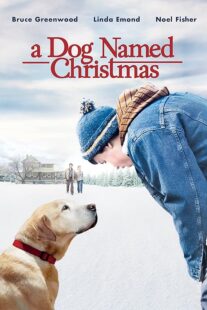 دانلود فیلم A Dog Named Christmas 2009389298-561050088
