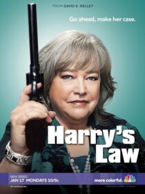 دانلود سریال Harry’s Law393952-52251706