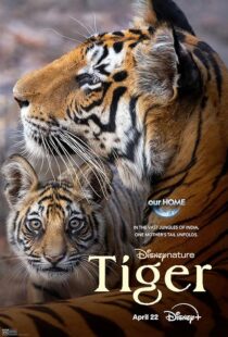 دانلود مستند Tiger 2024396409-1896327472
