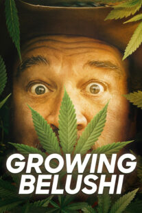 دانلود سریال Growing Belushi400424-1744686152