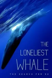 دانلود فیلم The Loneliest Whale: The Search for 52 2021403098-1826724534