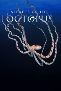 دانلود سریال Secrets of the Octopus401286-82662710
