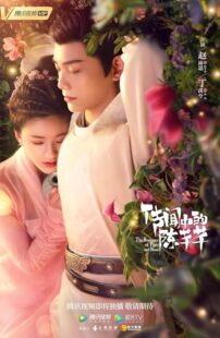 دانلود سریال The Romance of Tiger and Rose402001-1807662312