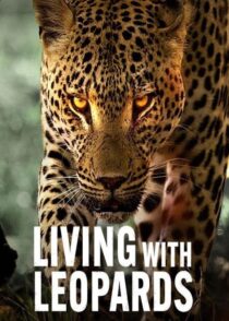 دانلود مستند Living with Leopards 2024400477-1496540240