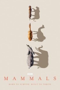 دانلود سریال Mammals404460-1301910220