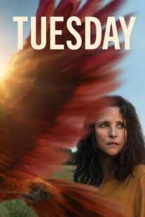دانلود فیلم Tuesday 2023405840-1848424182