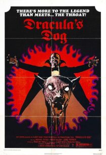 دانلود فیلم Dracula’s Dog 1977407625-1262999870