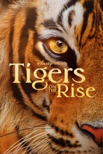 دانلود مستند Tigers on the Rise 2024407068-1292499118
