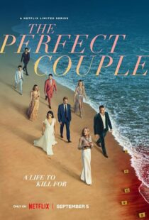 دانلود سریال The Perfect Couple409138-1510646865