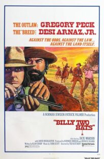 دانلود فیلم Billy Two Hats 1974411057-2023980767