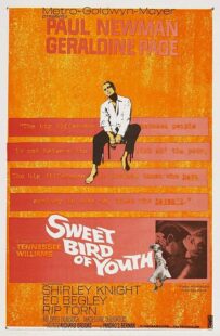 دانلود فیلم Sweet Bird of Youth 1962415738-1346058141