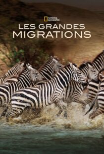 دانلود مستند Great Migrations417146-776296580