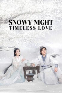 دانلود سریال Snowy Night Timeless Love417168-1995956693
