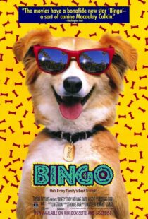 دانلود فیلم Bingo 1991417459-737988961