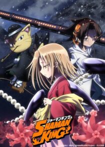 دانلود انیمه Shaman King422246-1386759280