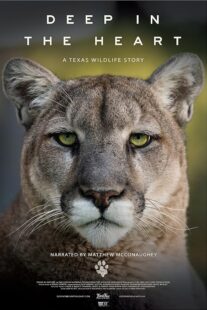 دانلود مستند Deep in the Heart: A Texas Wildlife Story 2022421545-37488604