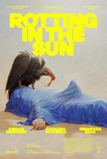 دانلود فیلم Rotting in the Sun 2023418816-352365280