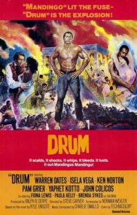 دانلود فیلم Drum 1976423508-1254508686