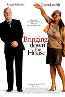 دانلود فیلم Bringing Down the House 2003424024-1209609809