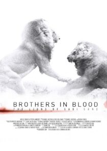دانلود مستند Brothers in Blood: The Lions of Sabi Sand 2015424819-527162856