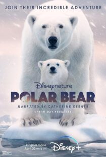 دانلود مستند Polar Bear 2022422974-1016772377