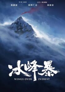دانلود فیلم Wings Over Everest 2019427497-832674545