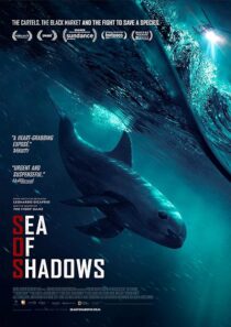 دانلود فیلم Sea of Shadows 2019427147-546103731