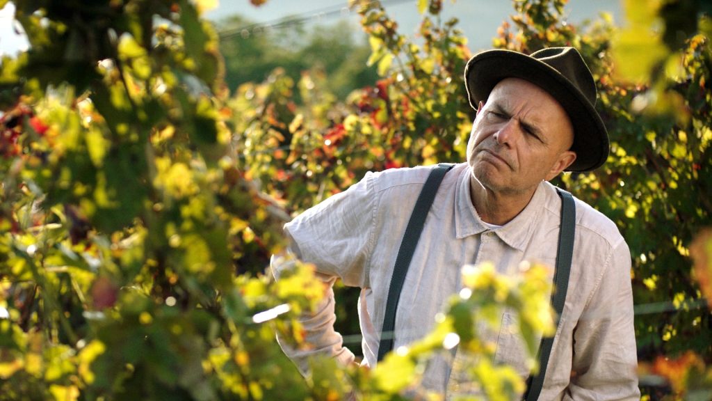 دانلود فیلم From the Vine 2019