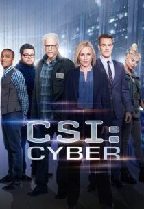 دانلود سریال CSI: Cyber428329-317887188