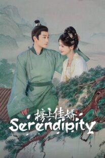 دانلود سریال Serendipity432481-1304653293