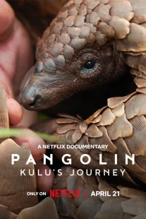 دانلود مستند Pangolin: Kulu’s Journey 2025430703-891509976