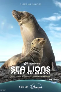دانلود مستند Sea Lions of the Galapagos 2025431056-854567131