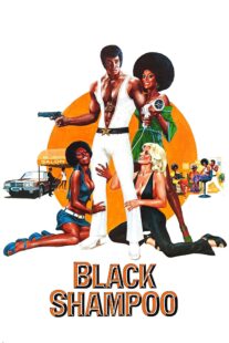 دانلود فیلم Black Shampoo 1976435042-1903567676