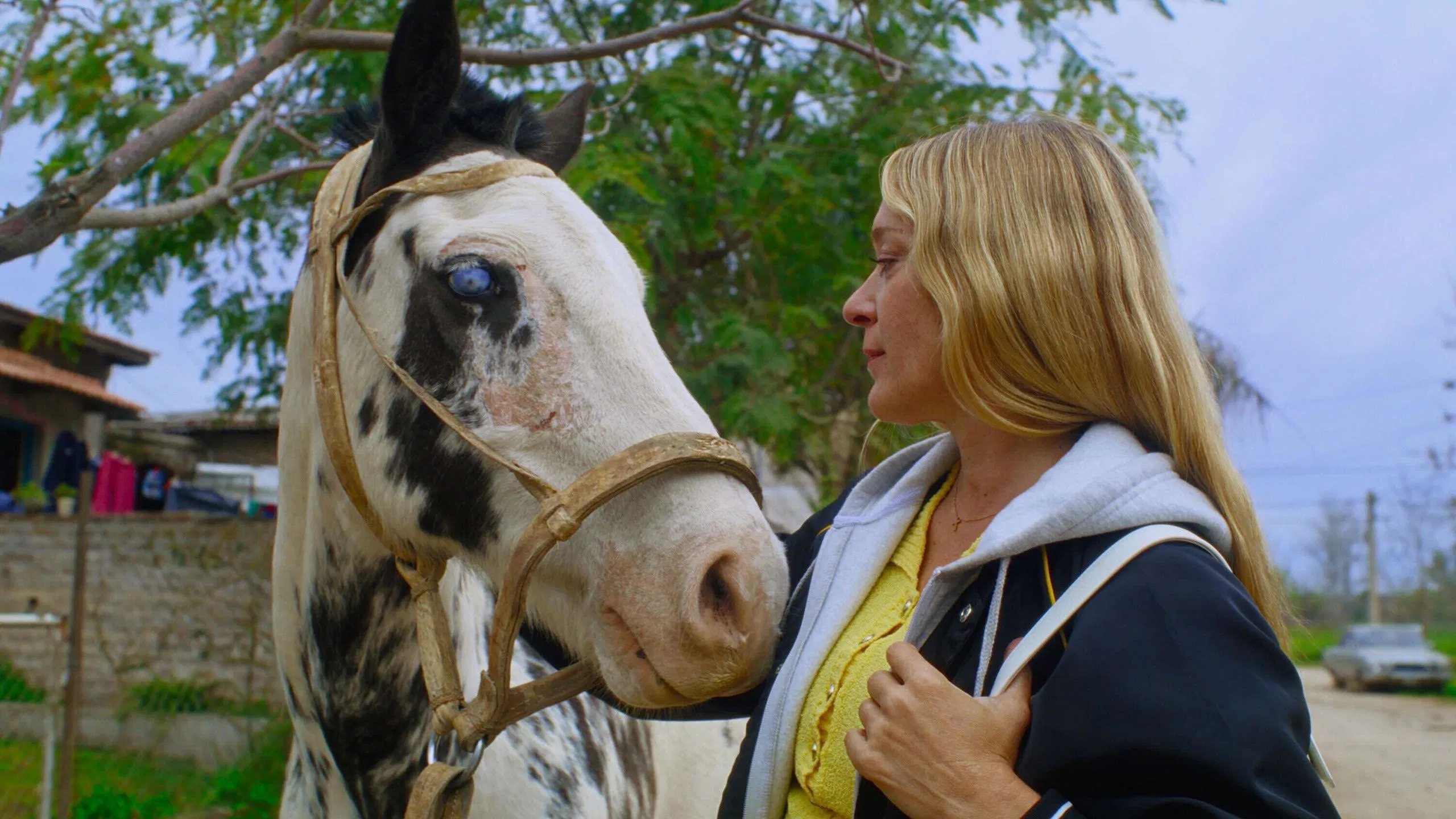 دانلود فیلم Magic Farm 2025